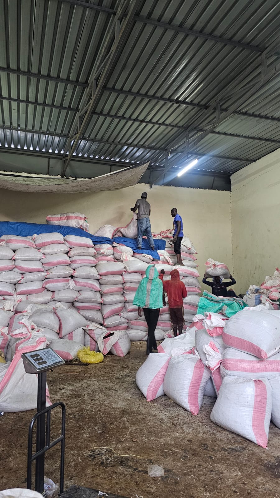 Vumilia operations 3