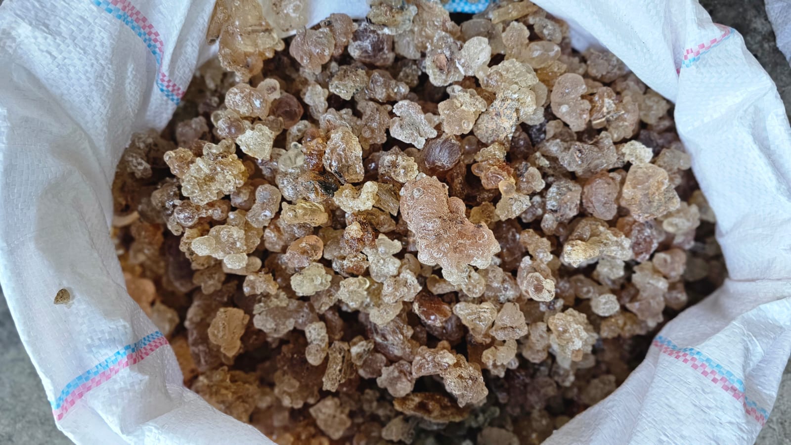 Gum Arabic (Acacia Gum)