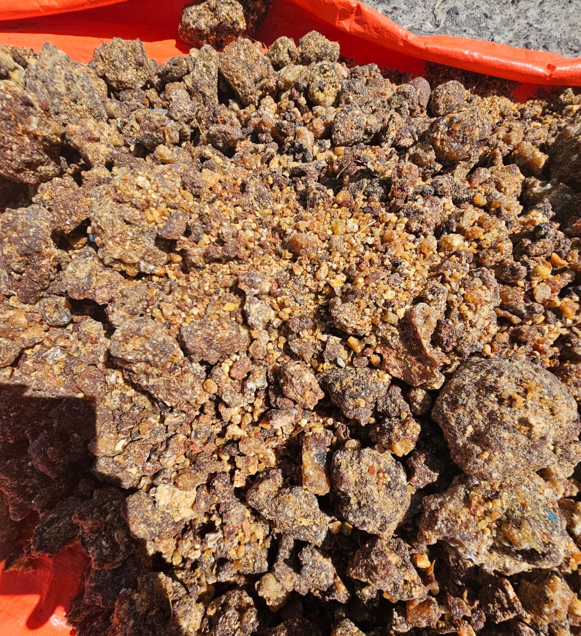 Opoponax Hadi Grade A